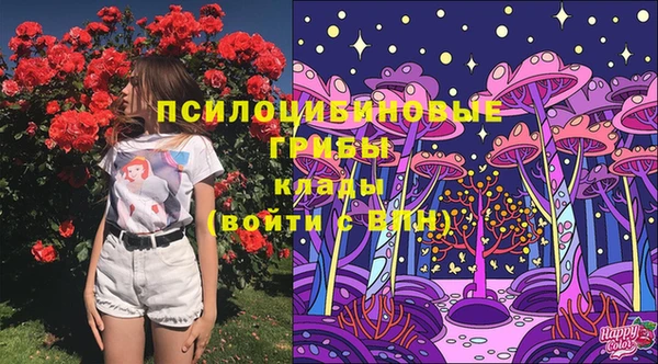 спиды Фёдоровский