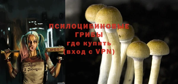 ешки Алексин