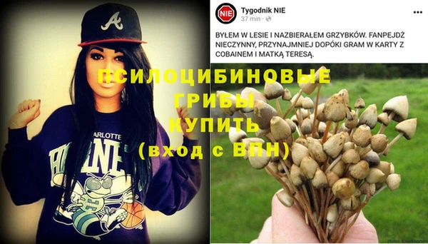 прущие крисы Лабытнанги