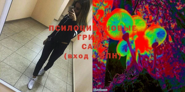 ешки Алексин