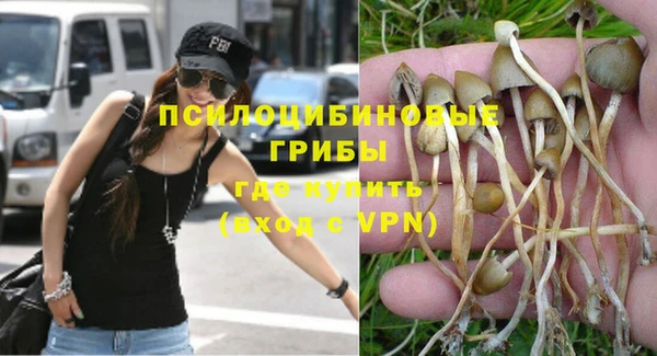 PSILOCYBIN Алексеевка