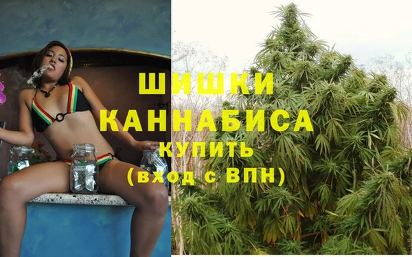 PSILOCYBIN Алексеевка